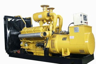 武漢發(fā)電機(jī)租賃與靜音柴油發(fā)電機(jī)服務(wù)綜合指南